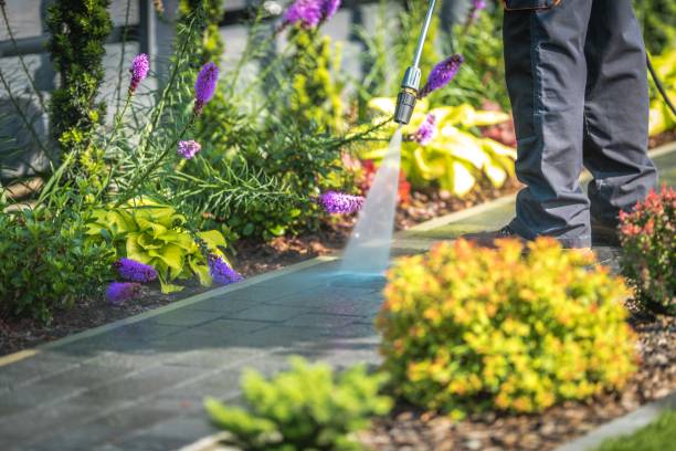 Best Fence Cleaning  in Prairie Du Sac, WI